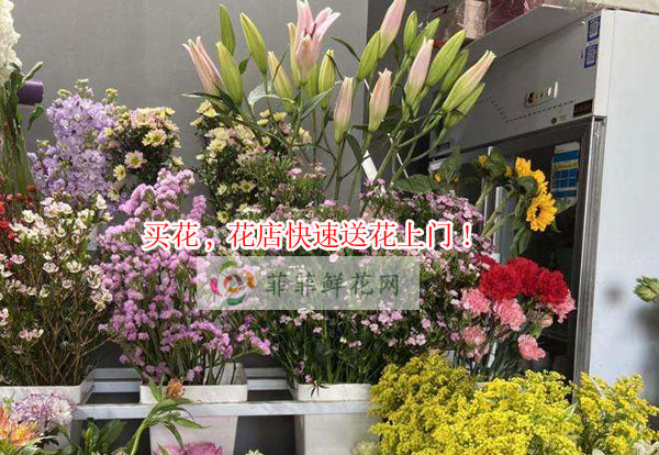 娄底双峰县买花,娄底双峰县花店快速送花上门!